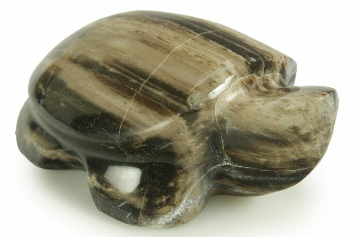 Polished Petrified Wood (Sycamore) Turtle - Nevada #366289
